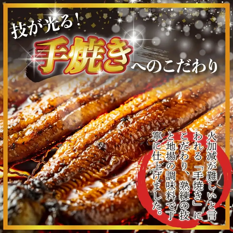 〈いろは〉特大サイズ 有頭うなぎ蒲焼 国産 1尾(230g以上) [M1022] ウナギ 鰻 炭火焼き 肉厚 うな重 ランキング 土用の丑の日 鹿児島県 人気 オススメ 宮若市