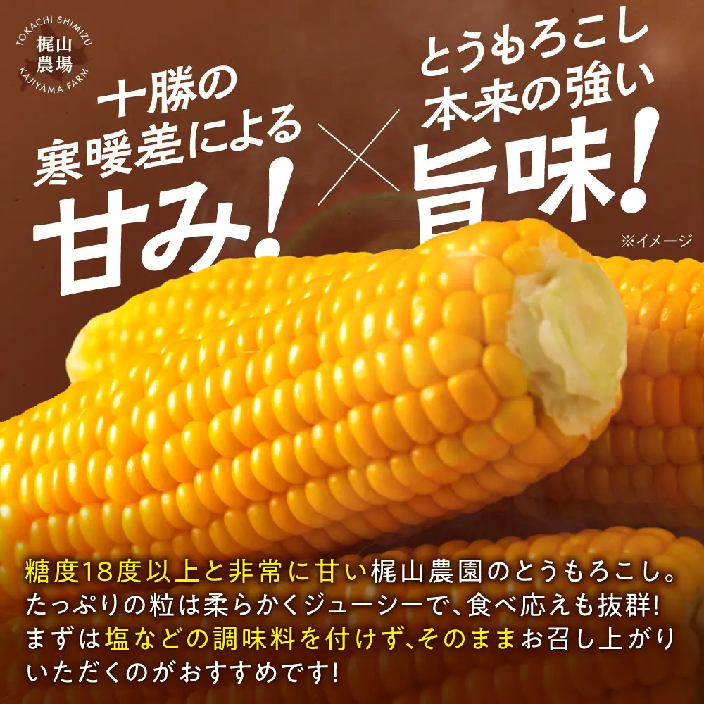先行受付！【2026年8月頃～発送開始！】北海道十勝清水町産 とうもろこし 恵味 サイズ混合 10本 産地直送 スイートコーン 朝どれ ジューシー_S041-0011-20260810