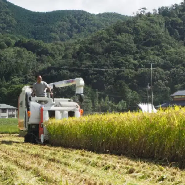 《8月下旬より出荷予定》[令和8年度産] 高齢者の田んぼを受け継ぐ若手後継者「塚原さんのてんたかく」精米5kg | 米 新米 てんたかく 単一原料米 ふっくら あっさり 和食 お弁当 おにぎり | 大阪府 能勢町 送料無料