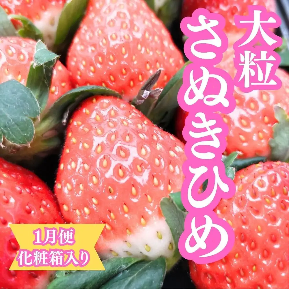 【全5回】坂出の美味しい果物定期便　四季折々の果物をお届けします