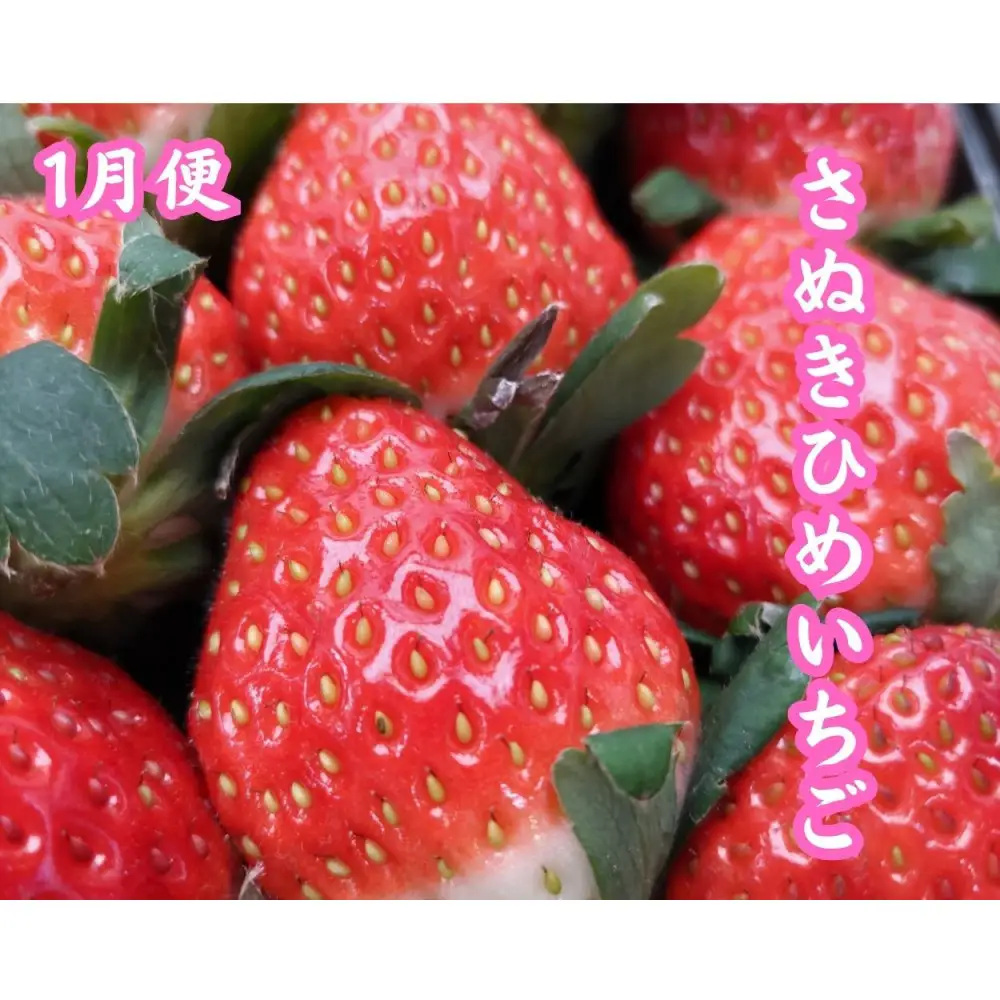 【全6回】坂出　冬・夏　美味しい果物定期便