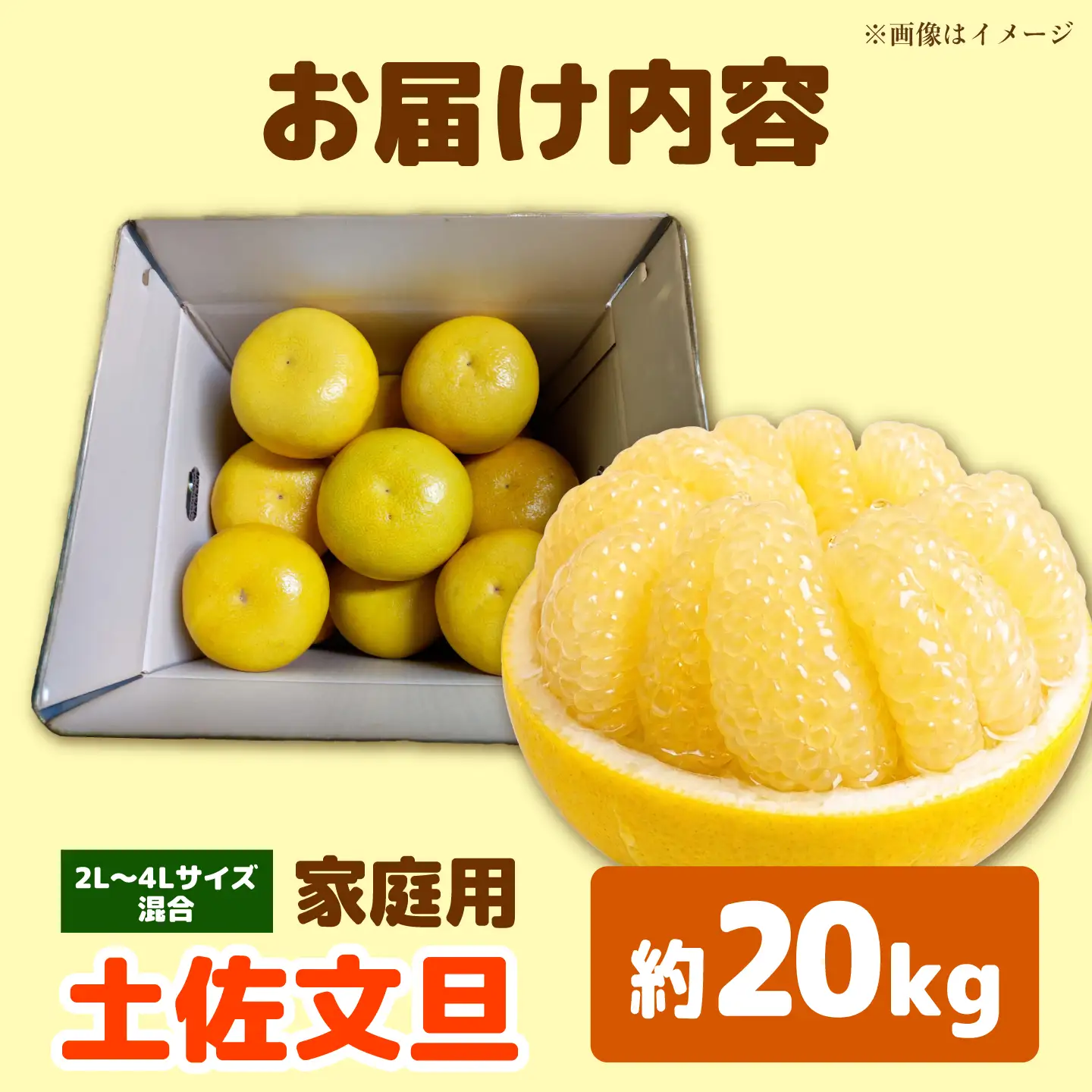 【先行予約】土佐文旦家庭用 約20kg 2L-4Lサイズ混合＜2027年1月下旬から順次発送＞ / ぶんたん ブンタン 文旦 フルーツ 柑橘 みかん 果物 くだもの 柑橘類 デザート おやつ さっぱり おいしい 甘い お取り寄せ 国産【玉木農園】[BQAJ010]