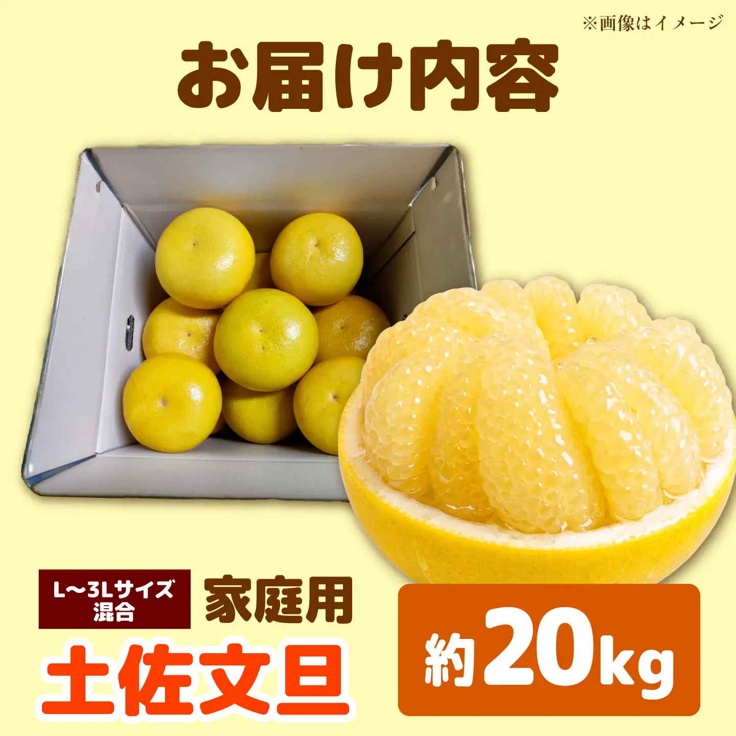 【先行予約】土佐文旦家庭用 約20kg L-3Lサイズ混合＜2027年1月下旬から順次発送＞ / ぶんたん ブンタン 文旦 フルーツ 柑橘 みかん 果物 くだもの 柑橘類 デザート おやつ さっぱり おいしい 甘い お取り寄せ 国産【玉木農園】[BQAJ011]