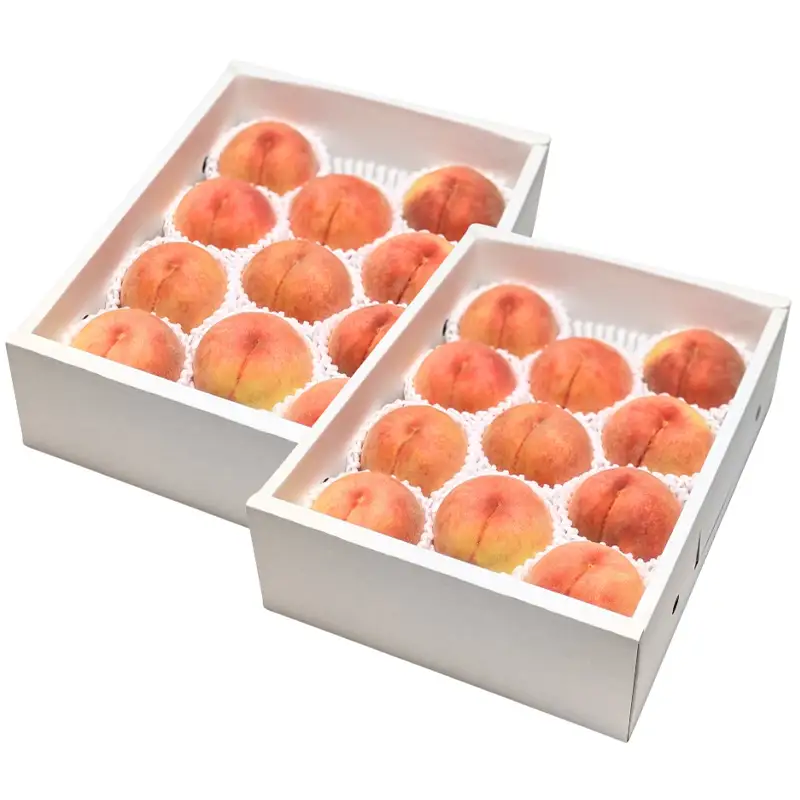 山形産 川中島白桃 6kg(3kg×2箱) FY26-230