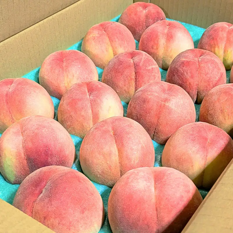 山形産 川中島白桃 5kg FY26-231