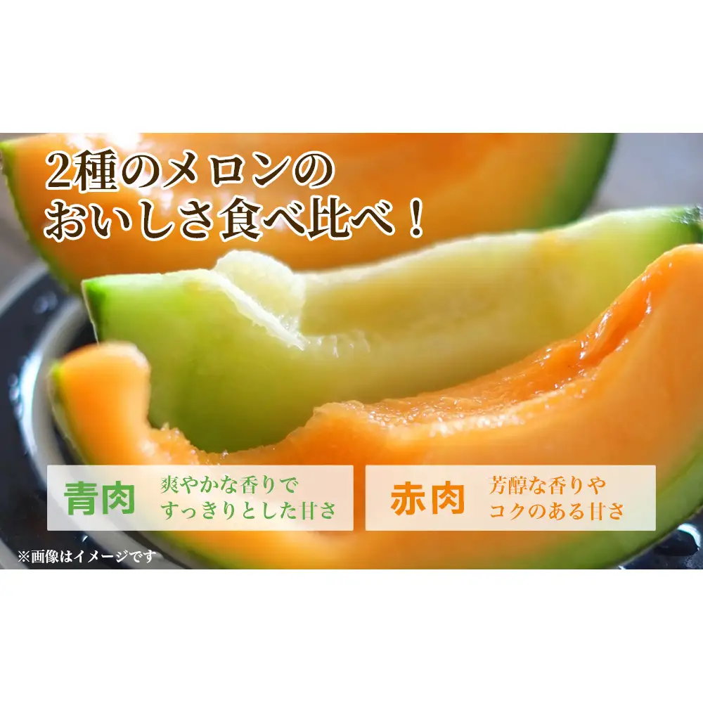 糖度15度以上 !! 宇陀市産 選べる組み合わせ！よくばりメロン 計2玉(選べる青肉・赤肉)＜令和8年産先行予約受付中 / 数量限定＞ ／ みやび農園 メロンセット 選べる 贈答 贈り物 食べ比べ 奈良県 宇陀市