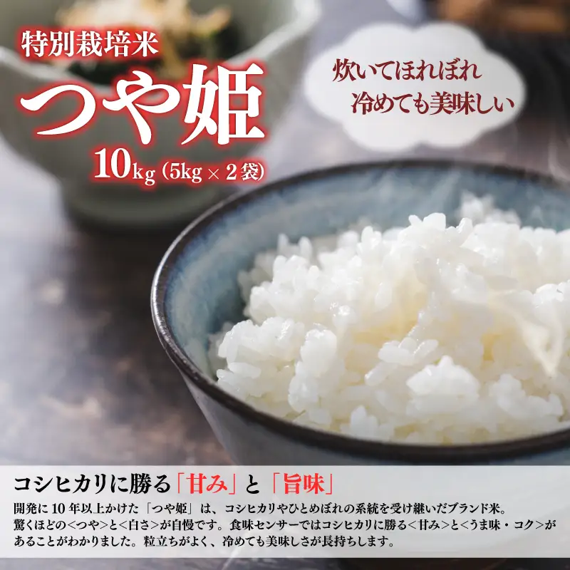 SB0972　10月中旬配送／令和8年産【精米】特別栽培米 つや姫 　10kg(5kg×2袋) 農家直送 HO