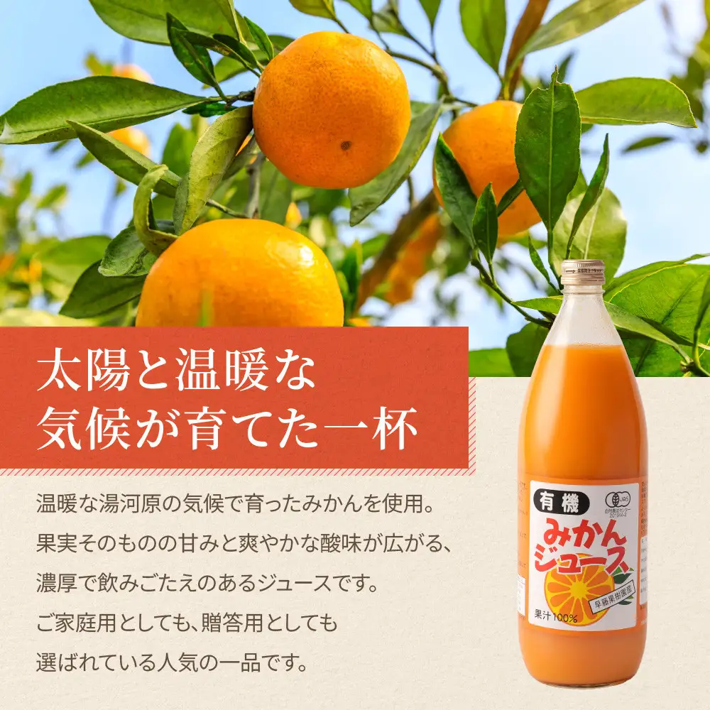 湯河原町特産品詰め合わせ