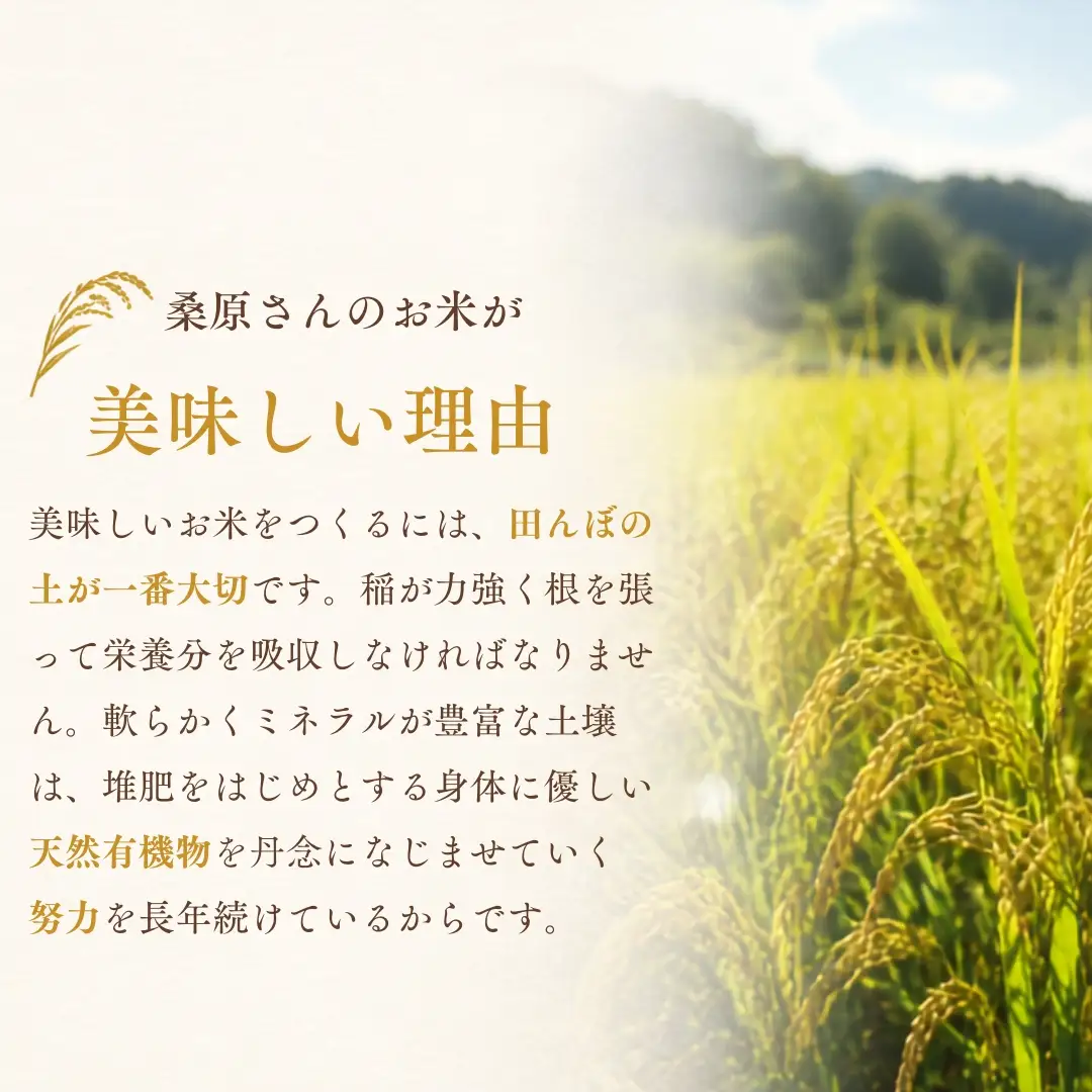 令和8年産 3ヶ月定期便 魚沼産コシヒカリ ダイヤモンド褒賞受賞 特別栽培米 15kg（5kg×3袋） |津南町 魚産