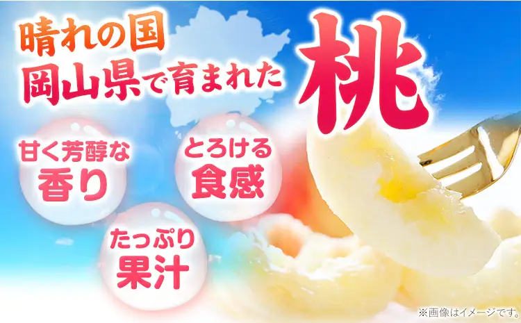 岡山の桃 約1.3kg 　白桃