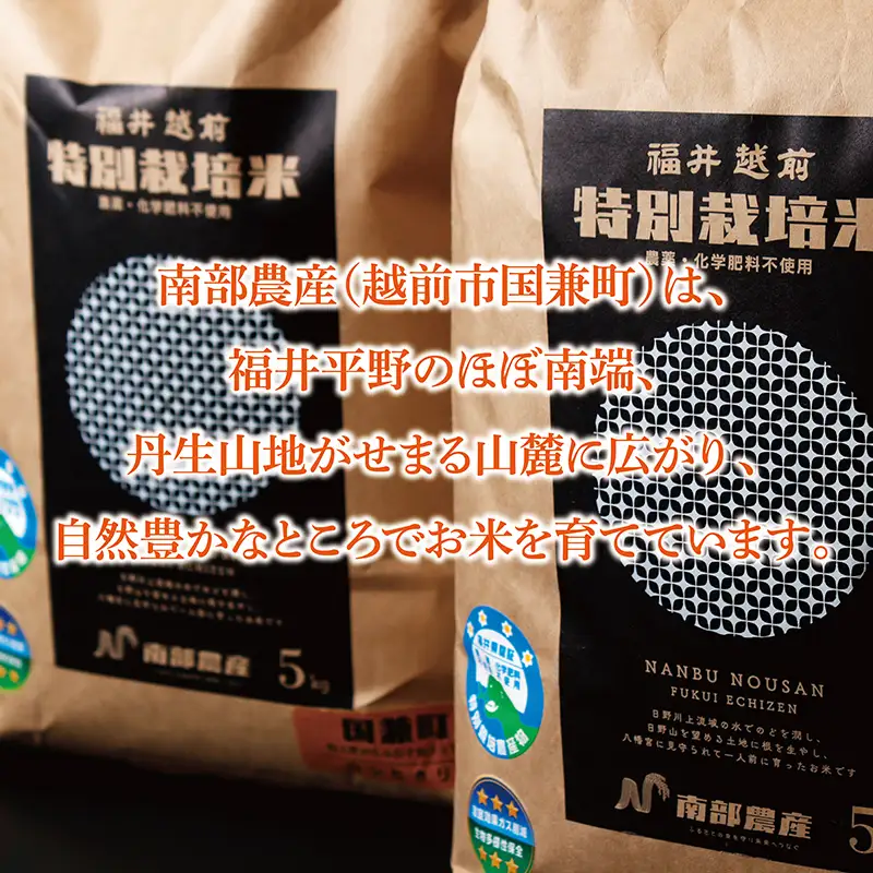 【新米予約】令和8年度産 特別栽培米コシヒカリ 5kg 精米 / 送料無料 福井県 越前市 米 コシヒカリ 農薬不使