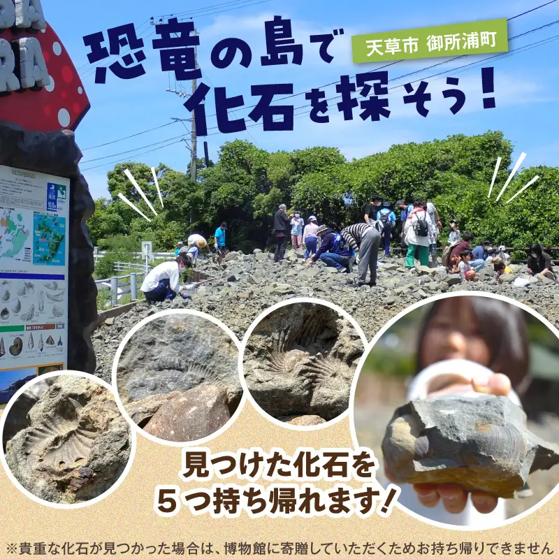 S188-004_化石ディグ利用券(4名様)