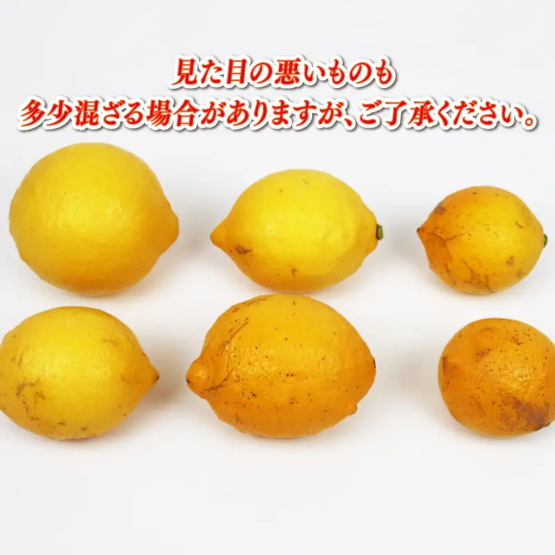 レモン 家庭用 9kg 兵頭農園 レモン B015-055011