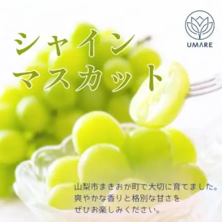 山梨県まきおか産　皮ごと食べられる葡萄3色セット【配送不可地域：離島・沖縄県】【1756900】