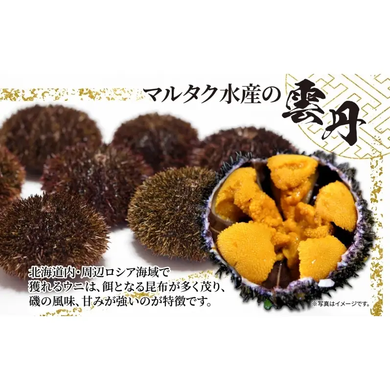 2ヵ月定期便 ロシア産 バフンウニ 100g×2 塩水 うに