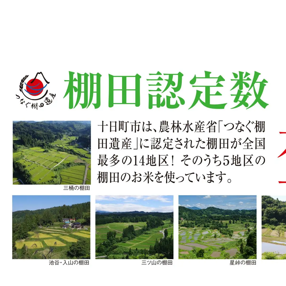 玄米2kg 令和7年産新潟県十日町市魚沼産コシヒカリ「つなぐ棚田米」 米 こしひかり 玄米 十日町市