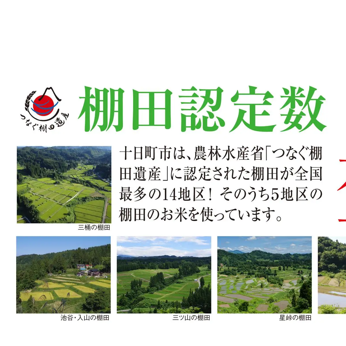 玄米5kg 令和7年産新潟県十日町市魚沼産コシヒカリ「つなぐ棚田米」 米 こしひかり 玄米 十日町市