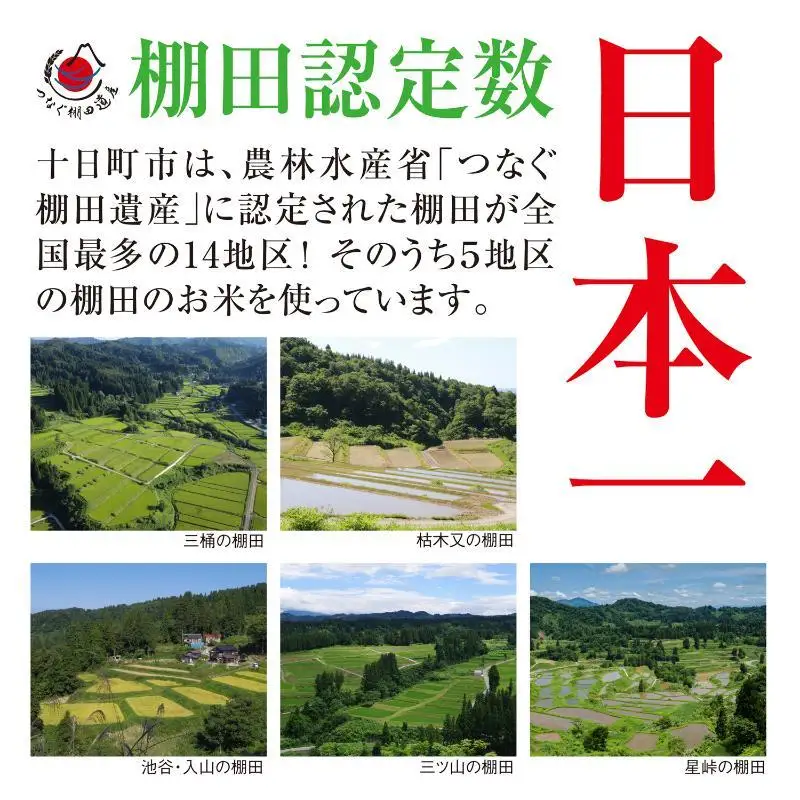 【定期便／全3回】玄米5kg  令和7年産新潟県十日町市魚沼産コシヒカリ「つなぐ棚田米」 米 こしひかり 玄米 十日町市