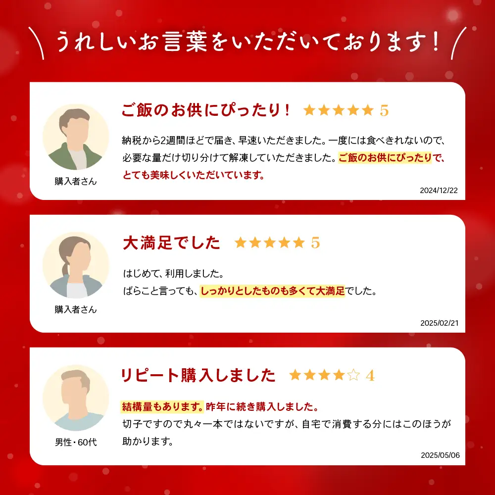 〈12月配送〉【年内配送】訳あり 辛子明太子 500g バラ子 切れ子 めんたいこ