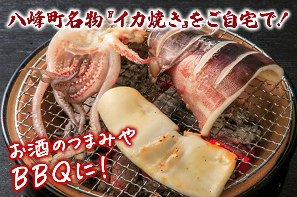 イカの開き 5枚 干物 冷凍