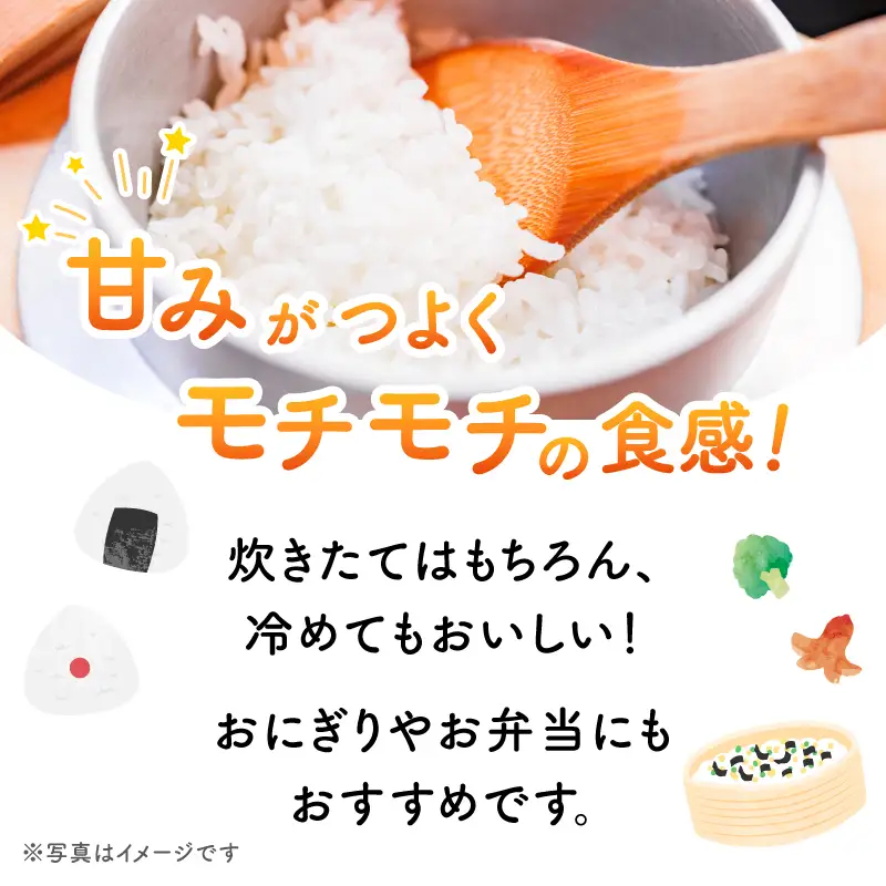 特別栽培米 みやけのひかり 2合 300グラム お試し 無農薬米 奈良県三宅町 白米 ヒノヒカリ 真空パック 保存食