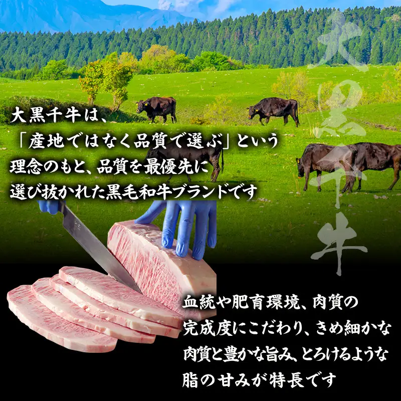 黒毛和牛 大黒千牛 サーロインステーキ 黒毛和牛【500g(約250g×2)】【冷凍】