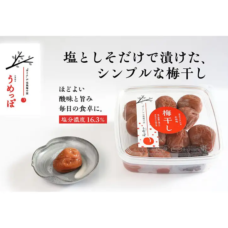 おおい町産の希少品種の完熟梅　昔ながらの梅干　いろいろセット 紅映梅 希少品種 樹上完熟 昔ながら 梅農家が作った 手作り 福井梅 梅 梅干 梅干し うめぼし 完熟 食べ比べ セット 福井県 おおい町