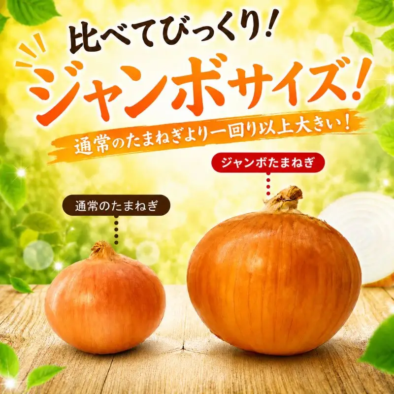 鉾田市産 大玉ジャンボ玉ねぎ 20kg 【オニオン】 / 玉ねぎ