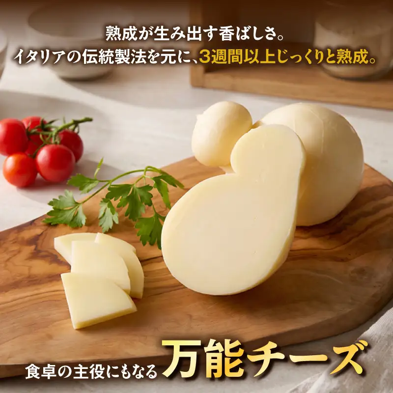 【国産】熟成カチオカヴァッロ(カチョカバロ)440g　職人手づくりセミハードチーズ・S106