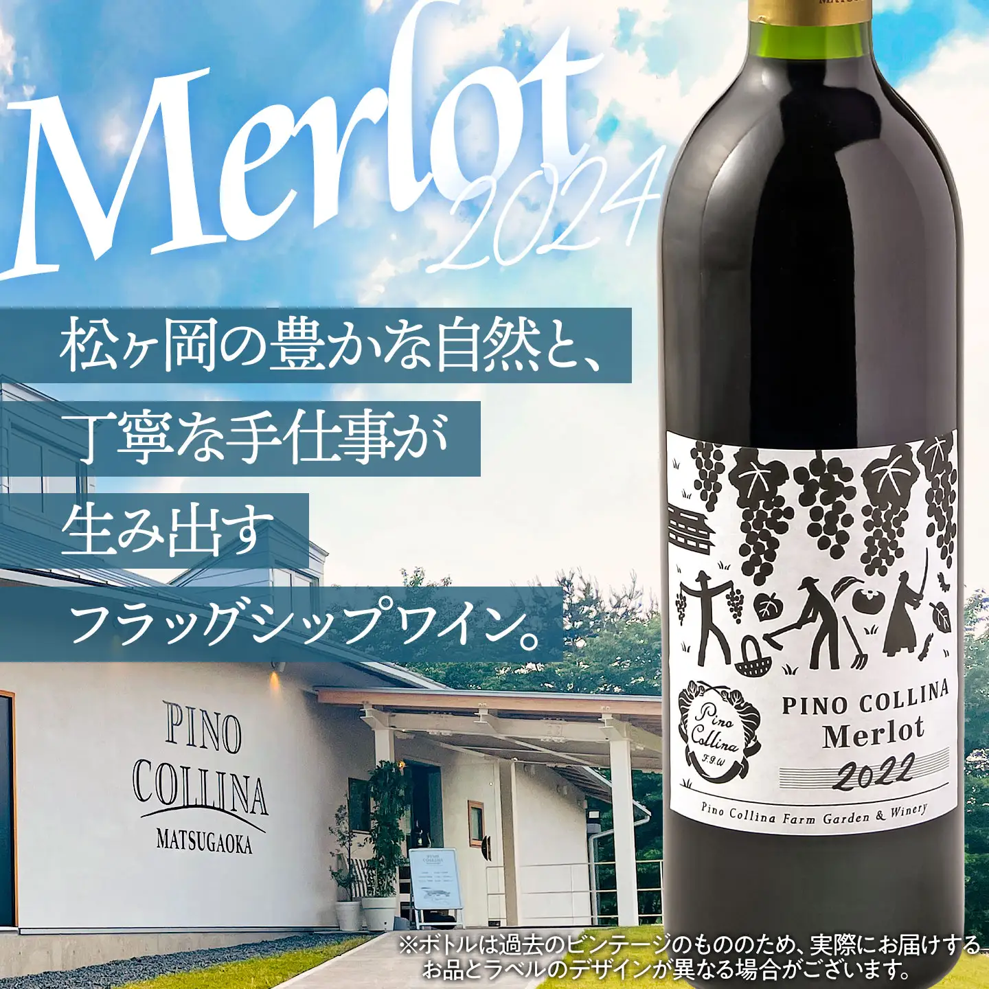 ピノ・コッリーナ メルロー 2024（赤） | 赤ワイン Melrot PINO COLLINA 株式会社エルサン