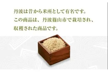 【令和8年産早期予約】 丹波篠山産 こしひかり 玄米 （3kg×2袋 計6kg） 玄米 コシヒカリ Q023