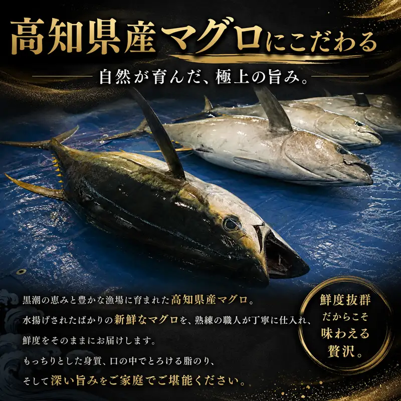 高知県産 天然 マグロ 赤身 500g KR-0001