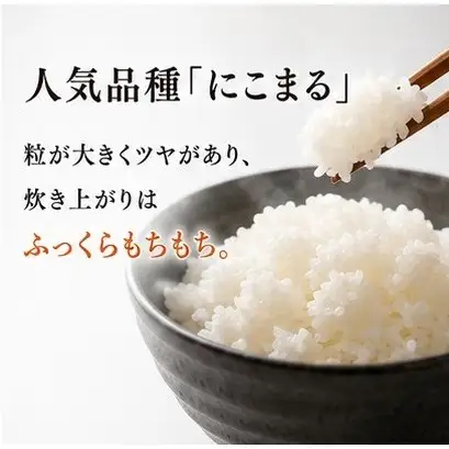 「うまそだち」　5kg 精米 （にこまる） 米 こめ お米 おこめ 白米 ごはん