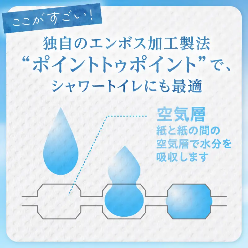 トイレットペーパー 綿雲 12R 24ロール ダブル 最上級 ふわり品質 消臭 しっかり吸収 パルプ100％ 無香 消臭 防災 備蓄 日用品 静岡県 富士市 [sf002-654]