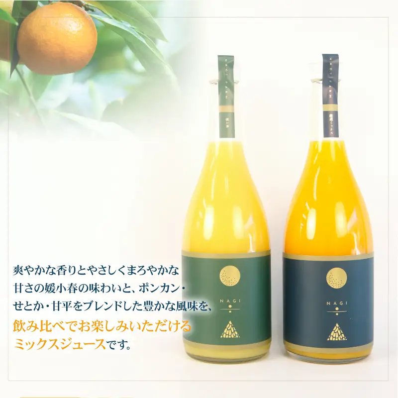 贈答用 みかん ジュース ミックスジュース 媛小春ジュース 720ml ×2本 NAGI FARM ストレート mikan 果汁100% 果汁 ストレートジュース ジュース 蜜柑 みかん 果物 くだもの フルーツ 贈答用 ギフト プレゼント 産地直送 数量限定 国産 愛媛 宇和島 H020-207003