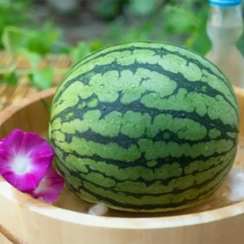 山形県産 小玉すいか 2玉 FSY-2777