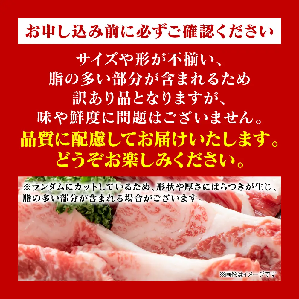 牛肉 【訳あり】 くまもと黒毛和牛 焼肉 切り落とし 500g （500g×1パック） A4～A5ランク 牛肉
