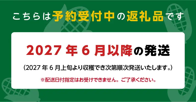 【2027年6月お届け】 福岡県産とうもろこし 2.5kg（スイートコーン） 〔Gv055-01〕
