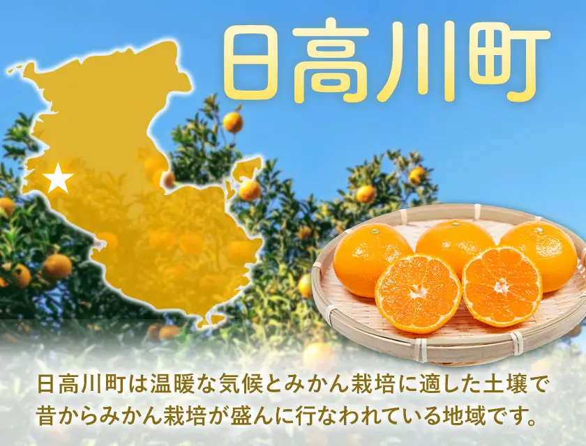 【先行予約】宮川 早生 みかん 約 5kg (S～Mサイズ) 