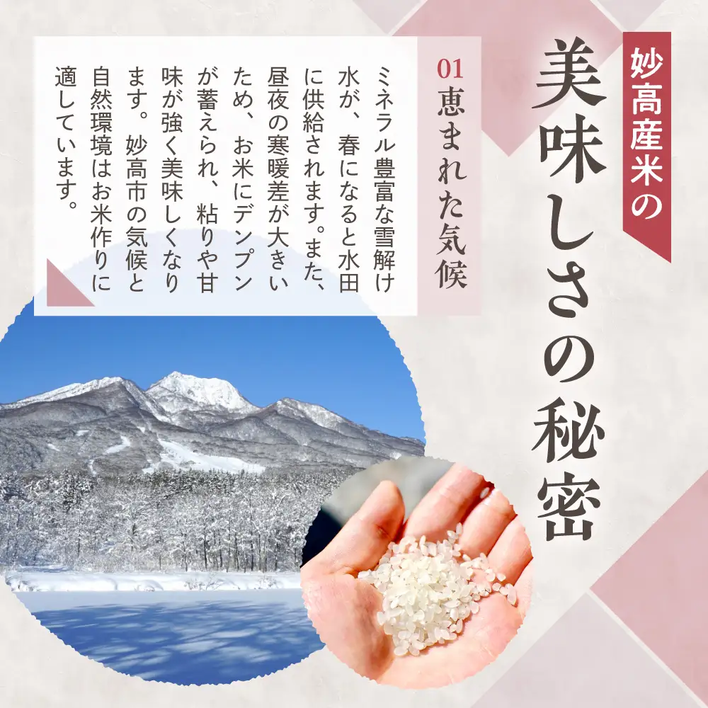 【2026年10月上旬発送】令和8年産 新潟県妙高産 こしひかり 20kg