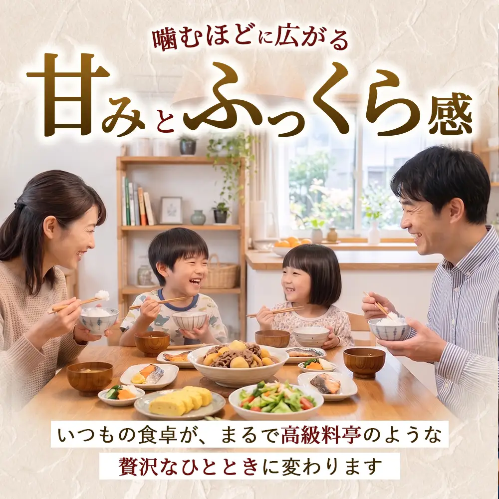 【令和8年産】茨城コシヒカリ 10㎏（5kg×2袋）【精米】 | お米 米 こしひかり 茨城県産 白米 ブランド米 小分け ※2026年9月～発送
