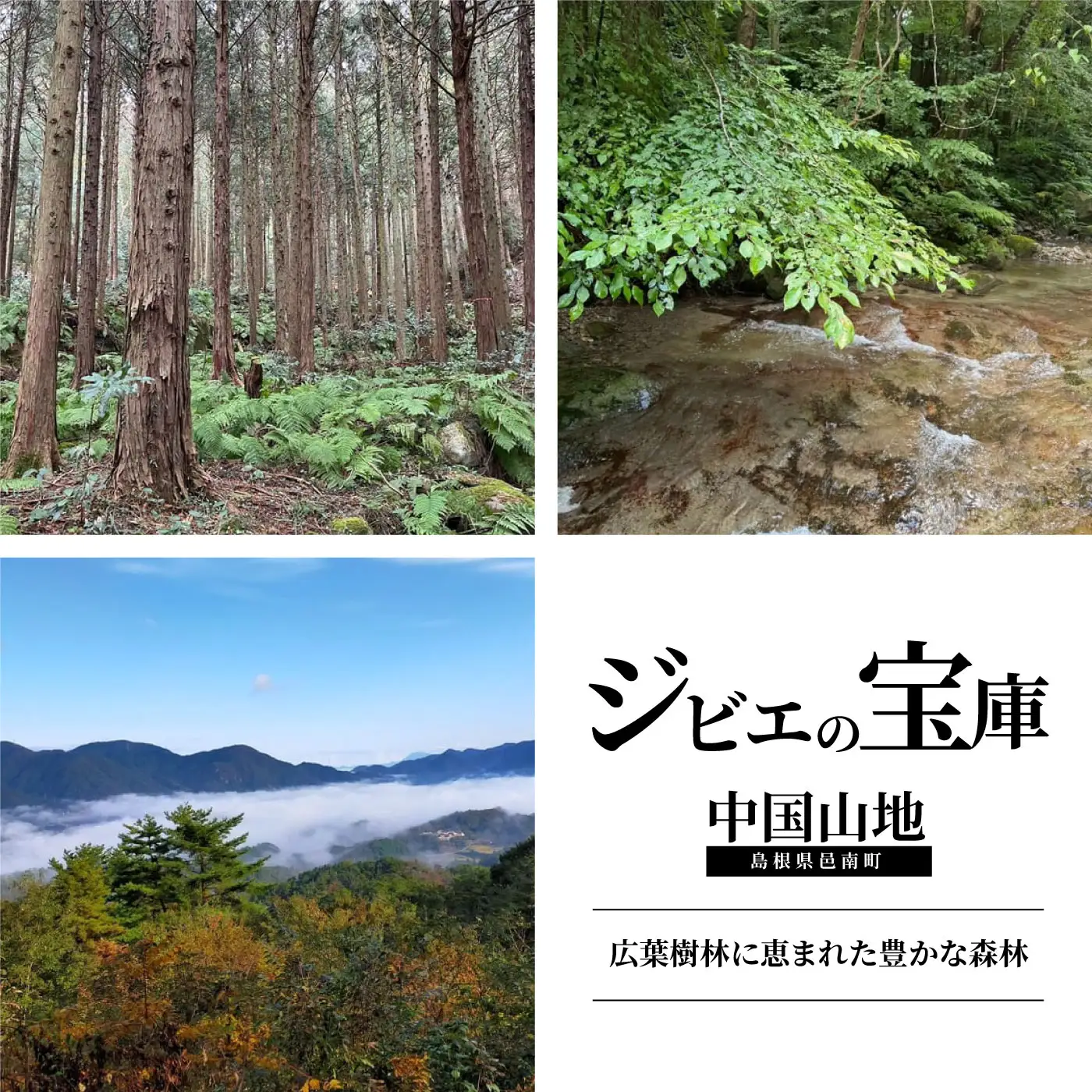 自然と命を体感する里山狩猟体験 宿泊付 お1人様【1日1組限定】