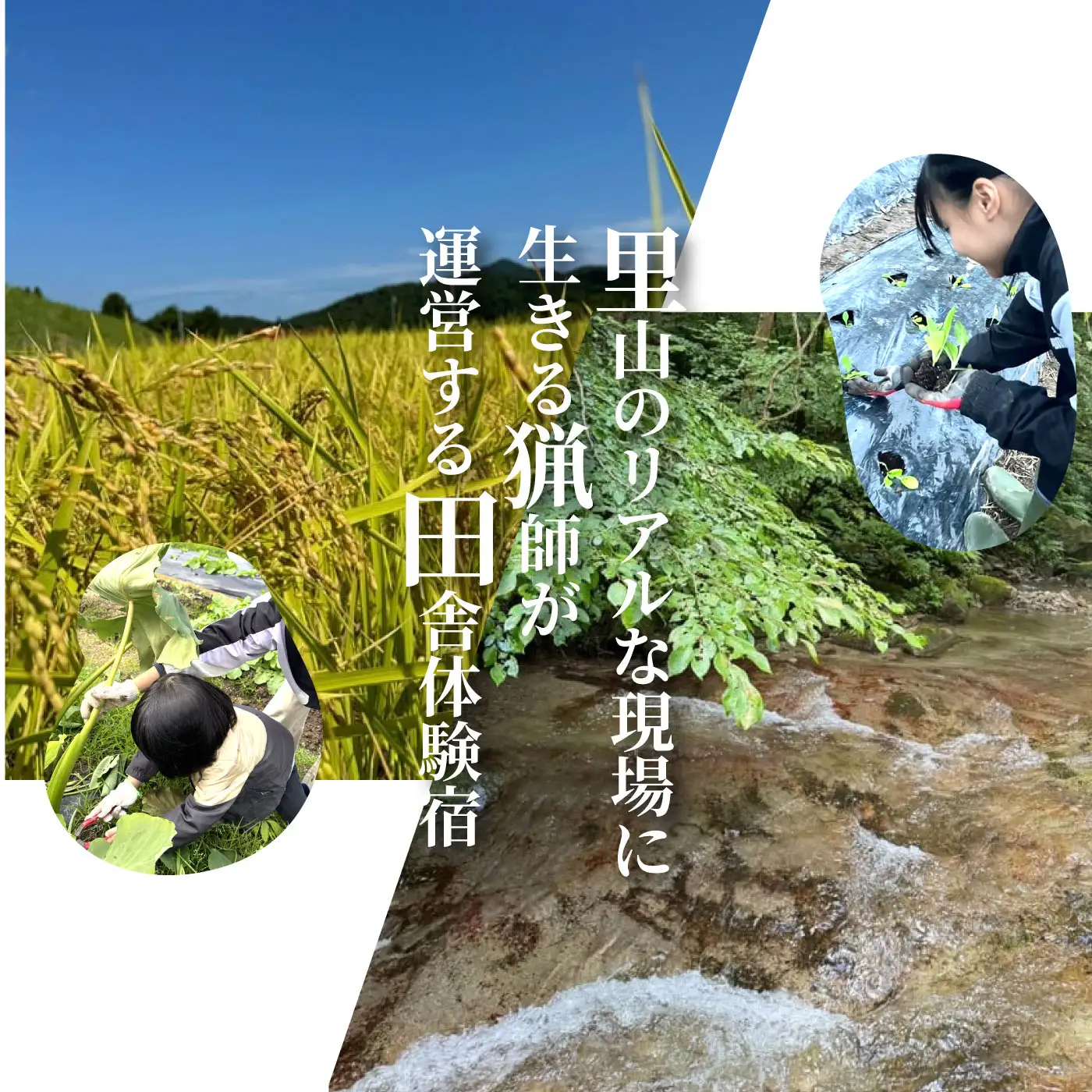家族で学ぶ里山暮らしとジビエ料理体験 宿泊付(小人6歳から12歳)【1日1組限定】