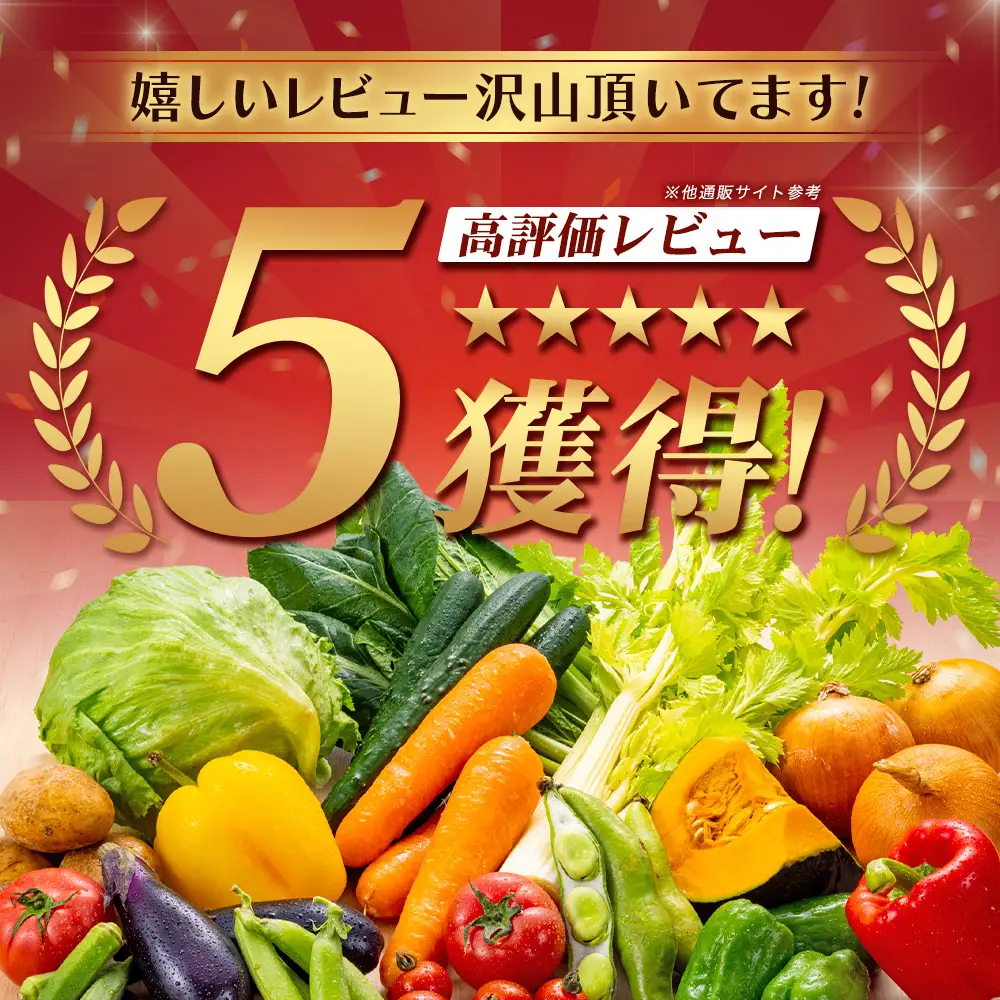 【定期便 3回配送】広島県庄原産「旬の野菜」詰め合わせ箱（13～15品目）野菜セット やさい 3ヵ月 3か月 3ヶ月 定期 頒布会