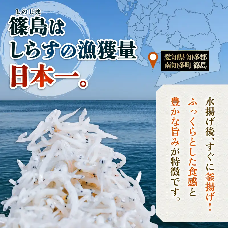 しらす干し 約600g（100g×6パック） 南知多篠島産 大一商店 冷凍 小分け