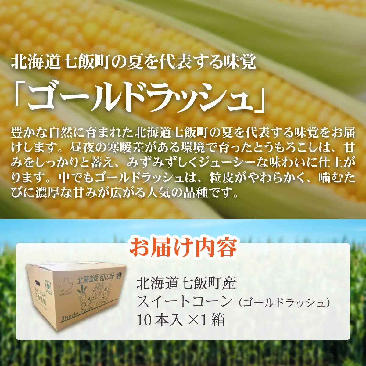 北海道 七飯町産 とうもろこし スイートコーン （ゴールドラッシュ） とうもろこし10本入×1 NABK004