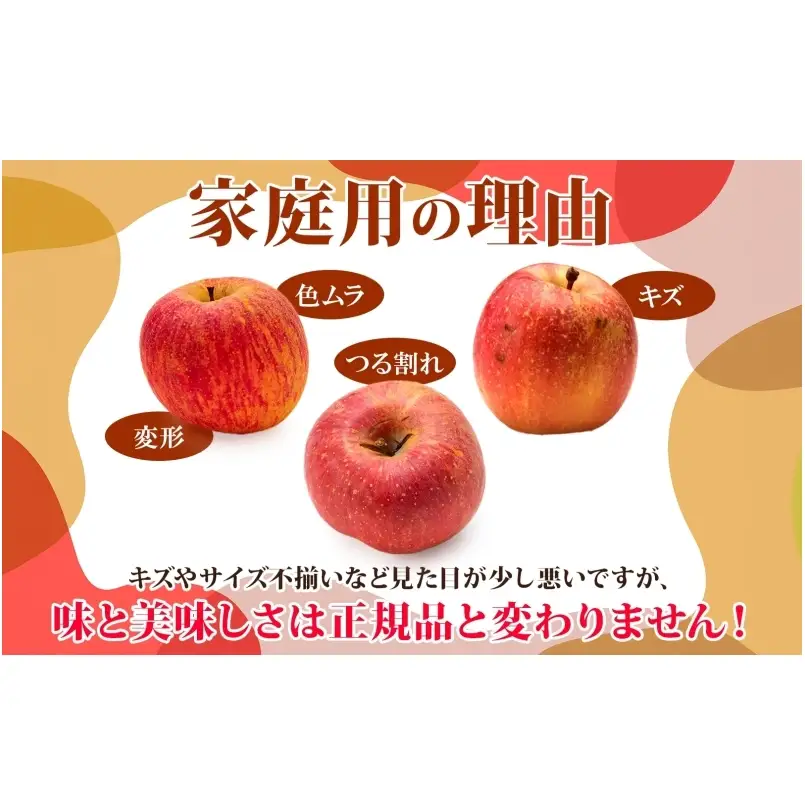 【11月発送】 家庭用 旬のりんご 品種おまかせ 約 5kg 2品種～4品種 りんご