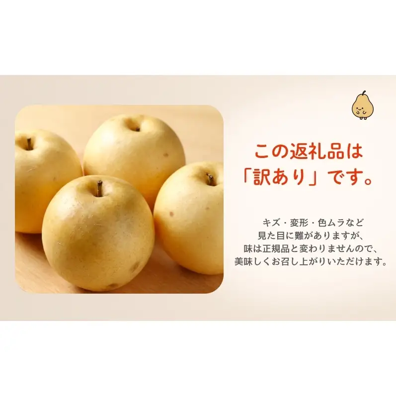 梨 豊水 果物 秋田県産 梨【5kg 12〜14個入】【訳あり】