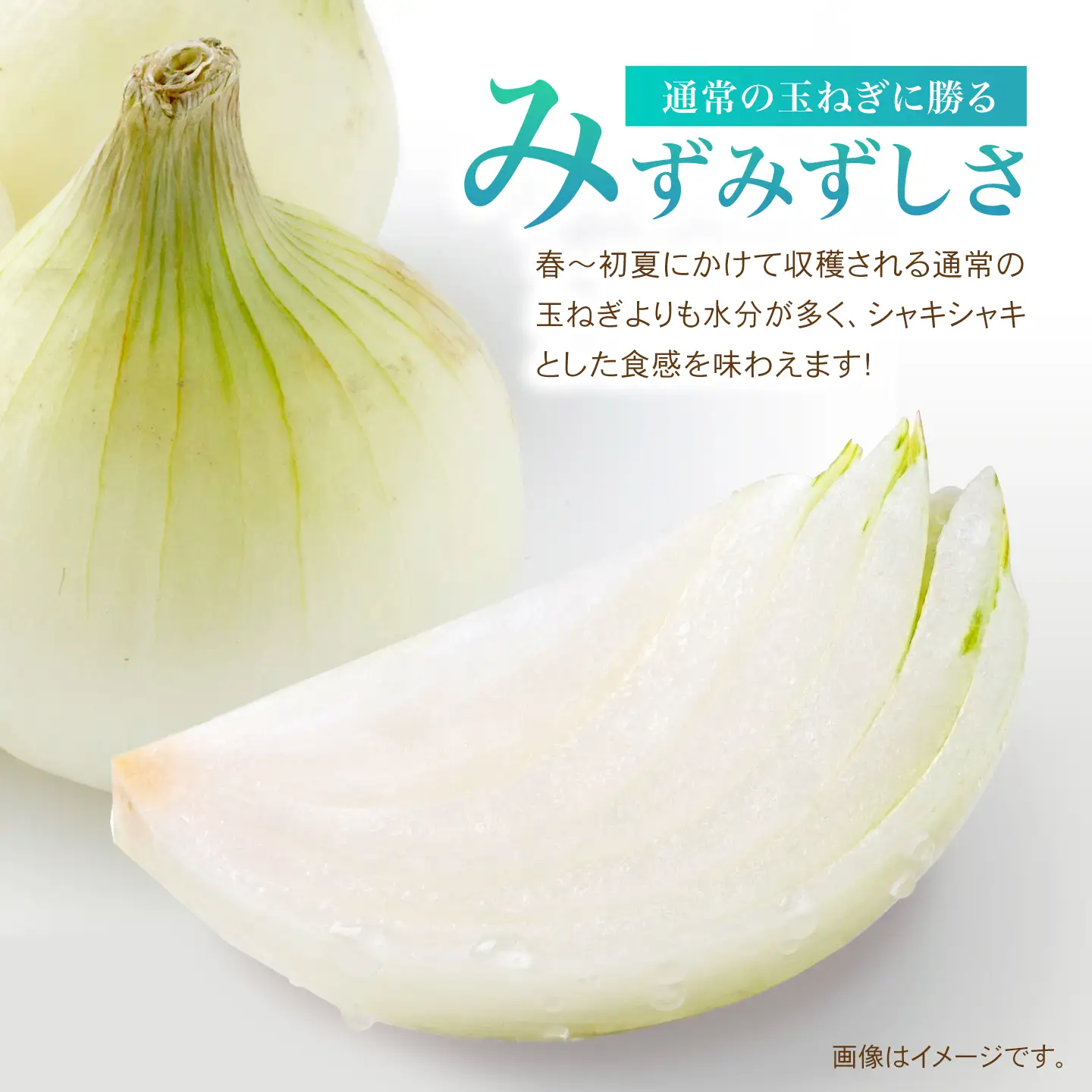 【先行予約 2027年1月〜発送】種から栽培するこだわり！冬どりたまねぎ5kg【藤武農産】[IDM002]