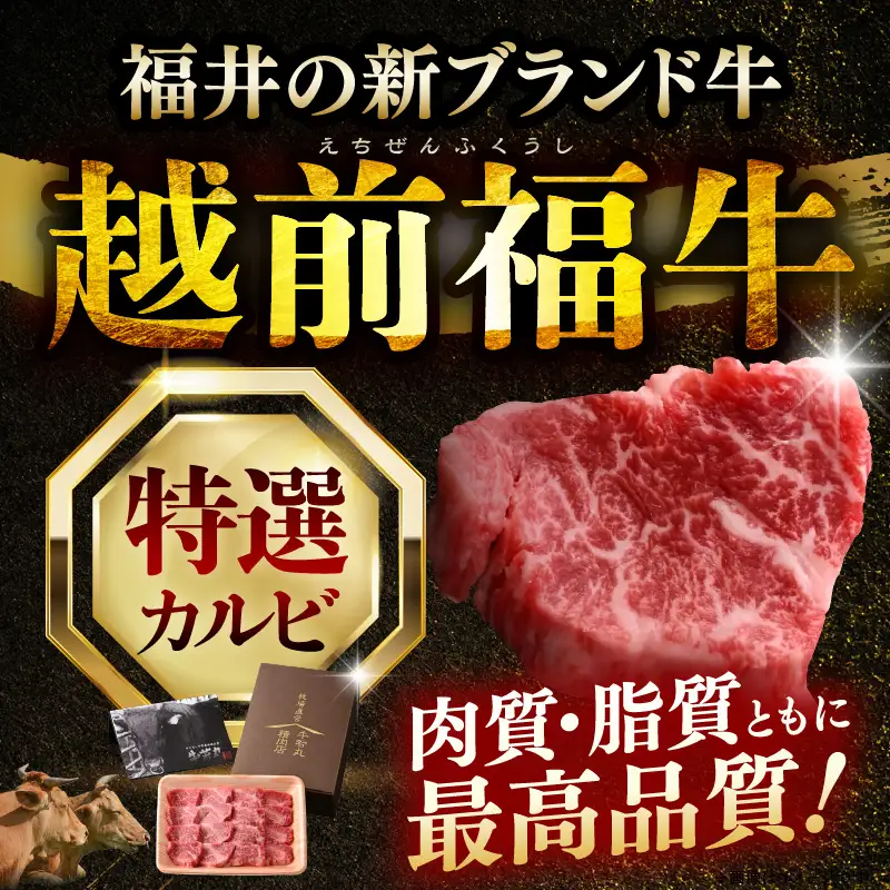 希少 越前福牛 特選カルビ 焼肉用 300g 牛肉 国産和牛 カルビ 冷凍 贈答 ギフト [A-1805] 